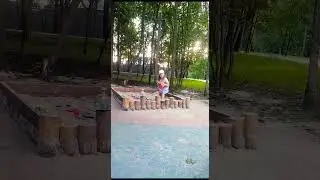 Песочница и пчела