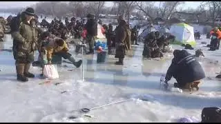Где то рыбы было очень много, вот все и собрались. #рыбалка #прикол