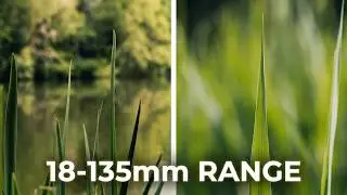 Canon C100 video test + Lens 18-135 mm