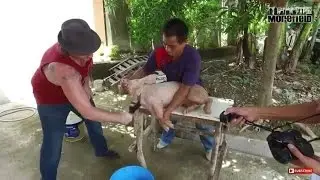 PROJECT LECHON (WARNING: Graphic Content)