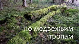 Велопоход по медвежьим тропам