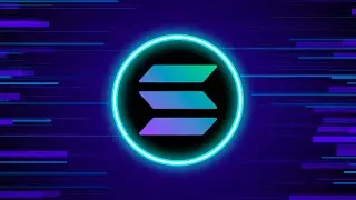 What is SOLANA? SOL Crypto Explained! (Animated)