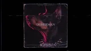 ZIFT FT. LVL - DOBERMAN
