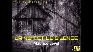 👉 La Nuit et le Silence (Maurice Level)