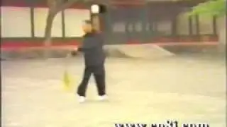 Late Grandmaster Tian Jin Zhong - JinGang Green Dragon Sword