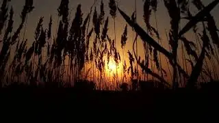 Feed your soul with Russian Poetry - Evgeny Yevtushenko Worry about me...