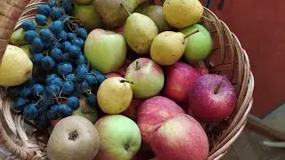 УРОЖАЙ 2020🍏🍒🥒 в саду и огороде.