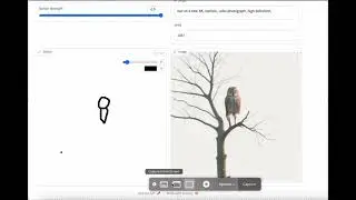 how to draw an owl