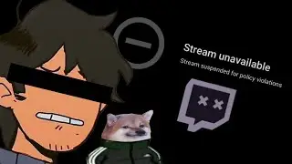 The Plebbster streaming experience