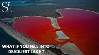 What If You Jumped Into Lake Natron? | Deadliest Lake On Earth