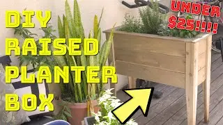 DIY Raised Planter Box Cheap