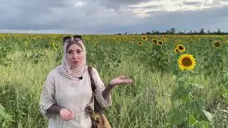 Am I LUCKY or is it SUPPOSED to be this way? Muslim woman shares her story.