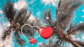 Chupi chupi mon tomar churi kore status video