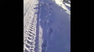 Тут все что я вам буду показывать в этом году