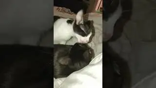 Любовь )))