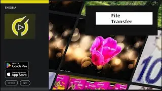 Eneobia - File Transfer
