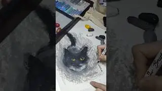 котик