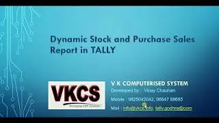 Dynamic Stock and Purchase Sales Report in TALLY