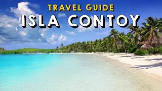 Discover Isla Contoy: The Caribbean's Hidden Paradise | Things to do Isla Contoy Mexico