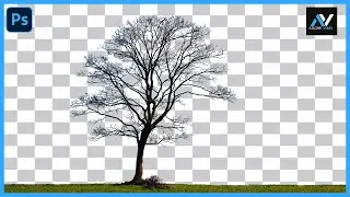 How to Cut Out a Tree in Photoshop 2024 || Remove TREE background | Photoshop Tutorial 2024