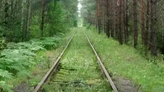 ЕСЛИ БЫ НЕ ЭТА ДОРОГА НИ ЧЕГО БЫ ТАКОГО БЫ НЕ БЫЛО