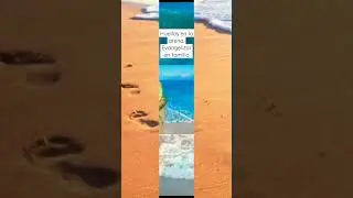 Huellas en la arena