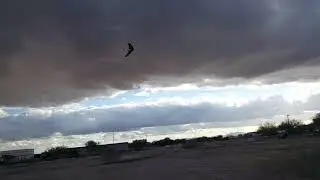 ZXL flying
