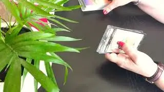 РАК ♋️  СЕНТЯБРЬ 2020 год