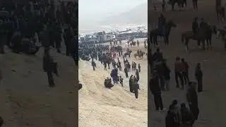 сарвар полвон аз к д