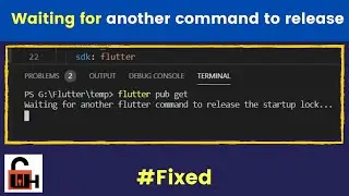 Waiting for another flutter command to release the startup lock [Flutter Error Solved 100%]