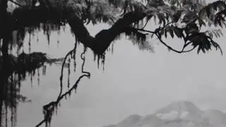 Hiroshi Sugimoto, The Origins of Love, 2004
