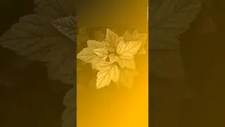 leaf yellow shade editing 📸📸