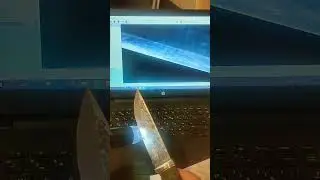 Вожак из D2, РК после работы по косточкам 