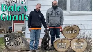 We Visit Dale's Quails
