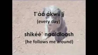 Navajo Puppy Song (Lyrics & Translation)