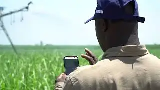 Energia Solar Para Agronegócio - Solar Solutions