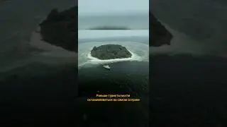 Об острове Сипадан в Малайзии #дайвинг #путешествия #малайзия