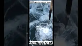 мем