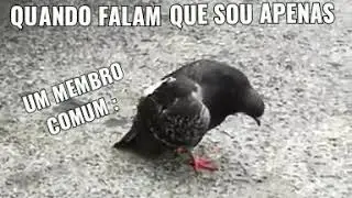 memes 2020(5)