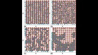 Cynthia Reichhardt: Complex Dynamics in Active Matter Systems