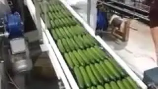 Весовой упаковщик-этикетировщик CAS CWM-4000-AS2BRK