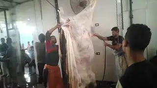 طريقة تقطيع اللحمه بالطريقه الصحيحه
