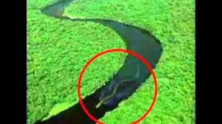 World's Biggest Monster Animal's 18