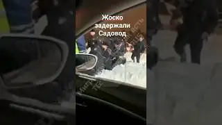 дамой хачу 🔴 депорт жоско задержали мигранта