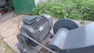 Пожиратель  древесины