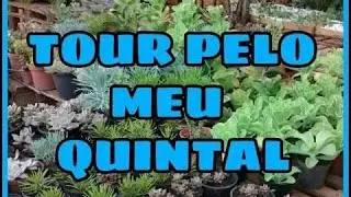 TOUR PELO QUINTAL MAL ASSOMBRADO