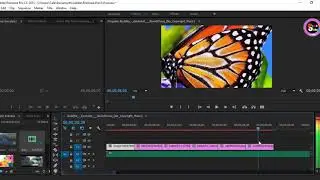 08 How to Add Background Music To Video In Premiere Pro (Video Edit))