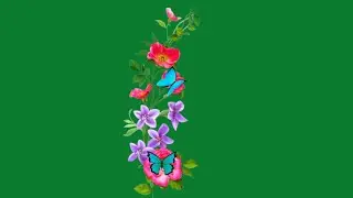 Flower garden green screen video | green screen video effect rose | rose green screen status