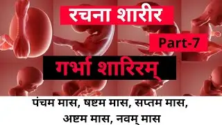 पंचम मास, षष्टम मास, सप्तम मास, अष्टम मास, नवम् मास || गर्भा शारिरम् {Part-7} || रचना शारीर || BAMS