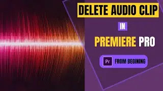 How to Delete Audio in Premiere Pro | How to Remove Audio in Premiere Pro 